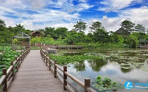 廣州<a href='/nansha/' target=_blank>南沙</a><a href='/jingdian/43047' target=_blank>濕地公園</a>有什么好吃的 廣州南沙<a href='/shidi/' target=_blank>濕地</a><a href='/jingdian/103250' target=_blank>公園</a>哪里有好吃的地方 廣州南沙濕地公園有什么好吃的 廣州南沙濕地公園哪里有好吃的地方