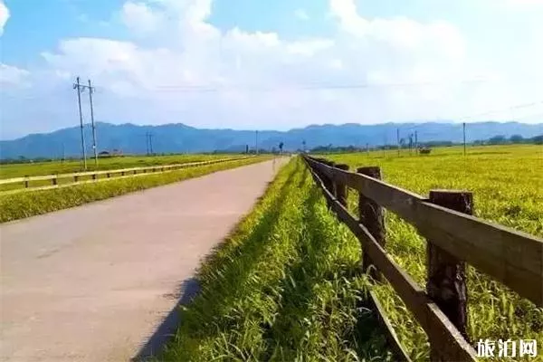 英德百鳥(niǎo)堂大草原能開(kāi)車(chē)上去嗎 附游玩攻略