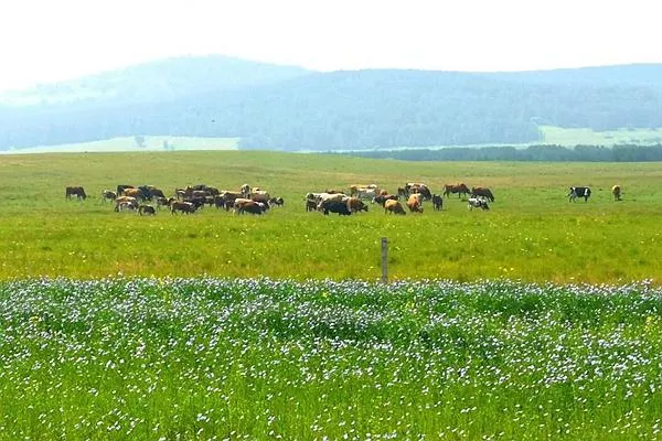 御道口<a href='http://www.eurekaspringsshopping.com/' target=_blank>旅游攻略</a> 去御道口草原怎么走